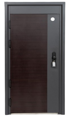 **Purple Walnut Door** * **Color:** Purple walnut * **Frame Color:** Grey frame (steel and aluminum) * **Panel Type:** Steel panel * **Width:**200 mm Upgrade your home with our premium doors! 🌟 Explore stylish options to enhance any room. Your perfect door awaits at Door'It Doors Plus!